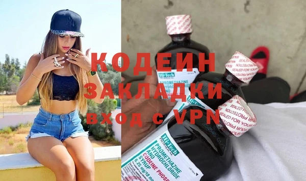 прущие грибы Аркадак