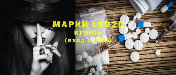 прущие грибы Аркадак