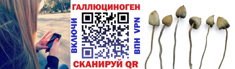 Галлюциногенные грибы мухоморы  Вольск 